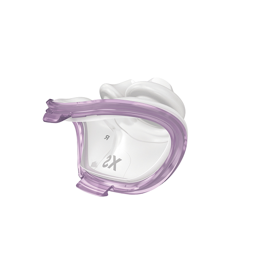 Masque narinaire AirFit P10